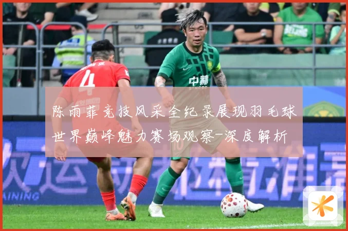 陈雨菲竞技风采全纪录展现羽毛球世界巅峰魅力赛场观察-深度解析
