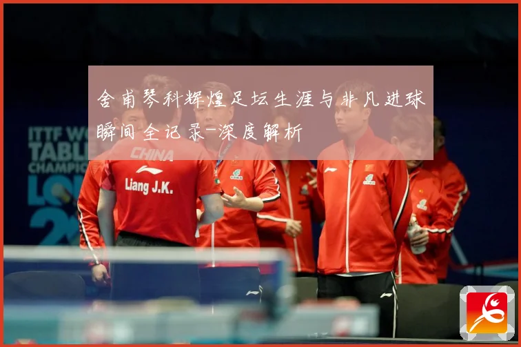 舍甫琴科辉煌足坛生涯与非凡进球瞬间全记录-深度解析
