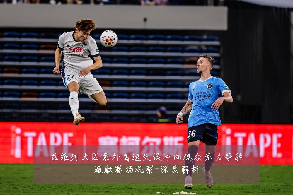 兹维列夫因意外高速失误冲向观众无力争胜道歉赛场观察-深度解析